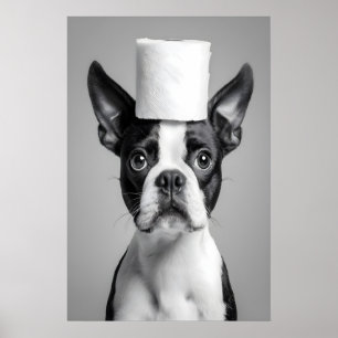 Impresión divertida de Boston Terrier en el baño,