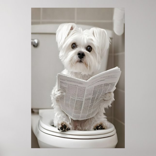 Impresión divertida de perro maltés en el baño, ar (Frente)