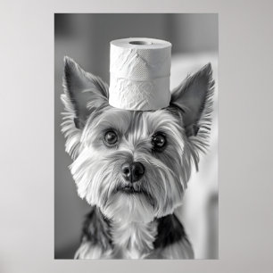 Impresión divertida de Yorkshire Terrier en el bañ