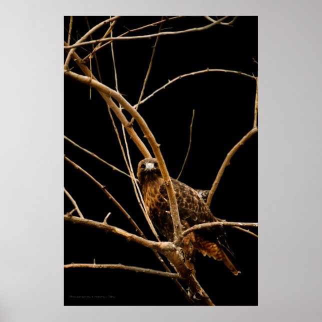 Impresión dorada (Frente)