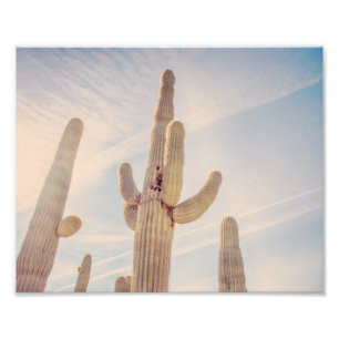 Impresión elevada de la foto de los cactus el