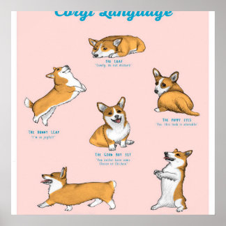 Impresión en idioma corgi