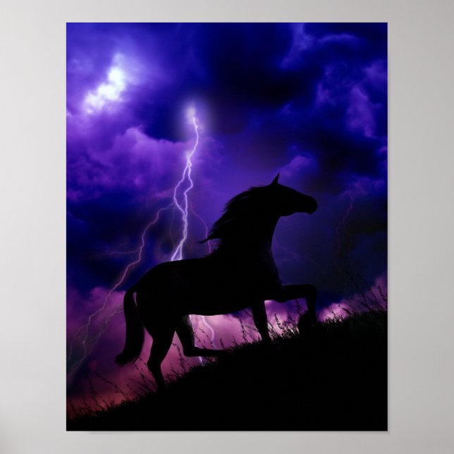 Impresión en la tormenta 11x14 (Frente)