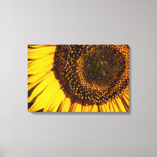 Impresión en lienzo - Acercamiento de girasol