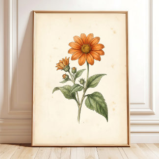 Impresión en lienzo de arte botánico de Tithonia