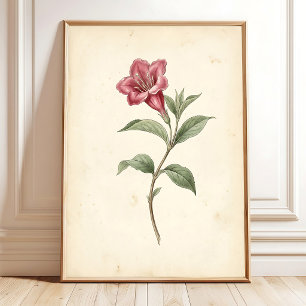 Impresión en lienzo de arte botánico vintage de We