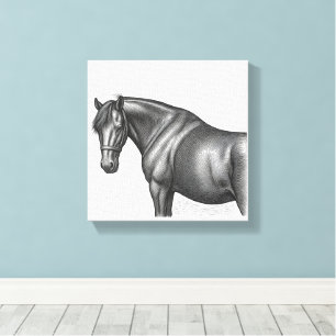 Impresión en lienzo de colección de caballos