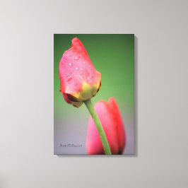 Impresión en lienzo de dos tulipanes rosados
