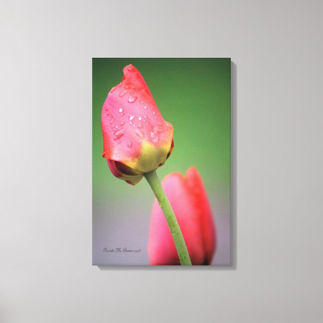 Impresión en lienzo de dos tulipanes rosados (Anverso)