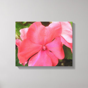 Impresión en lienzo de flor de impatiens rosa macr