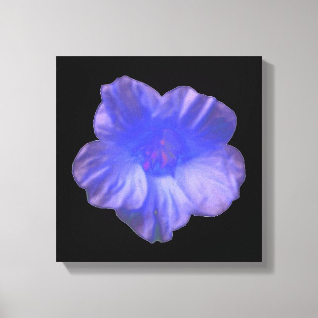 Impresión en lienzo de flor de nasturcia azul (Anverso)