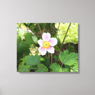 Impresión en lienzo de flor silvestre rosa Pared