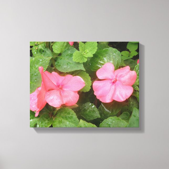 Impresión en lienzo de flores de impatiens rosadas (Anverso)