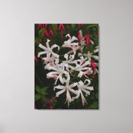 Impresión en lienzo de flores de Nerine blancas