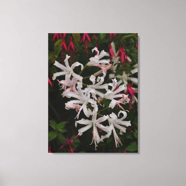 Impresión en lienzo de flores de Nerine blancas (Anverso)