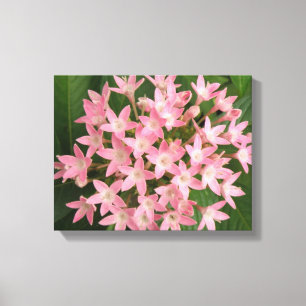 Impresión en lienzo de flores tropicales rosadas b
