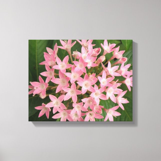 Impresión en lienzo de flores tropicales rosadas b (Anverso)