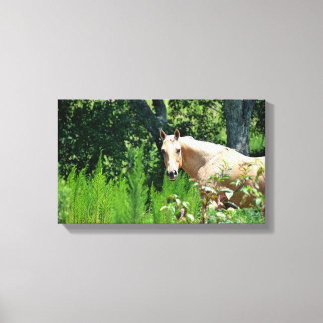 Impresión en lienzo de fotografía de caballo Palom (Anverso)