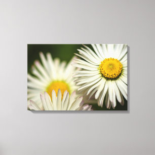 Impresión en lienzo de fotografía de flores de mar