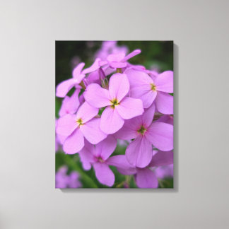 Impresión en lienzo de fotografía de la naturaleza