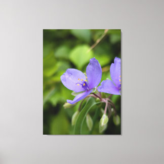Impresión en lienzo de fotografía de la naturaleza