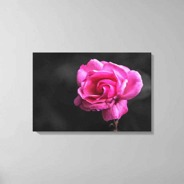 Impresión en lienzo de fotografía de rosa rosa (Anverso)