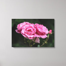 Impresión en lienzo de fotografía de rosas rosadas