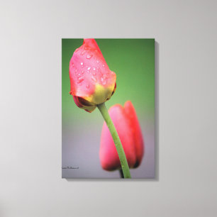 Impresión en lienzo de fotografía de tulipanes ros