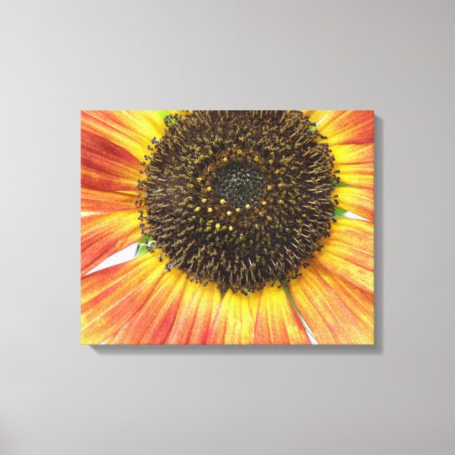 Impresión en lienzo de girasol naranja (Anverso)