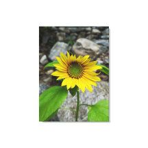 impresión en lienzo de girasol único
