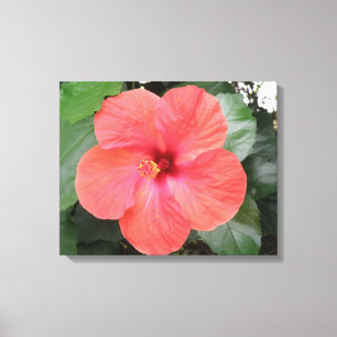 Impresión en lienzo de hermosa flor de hibisco nar