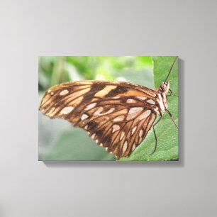 Impresión en lienzo de hermosa mariposa marrón