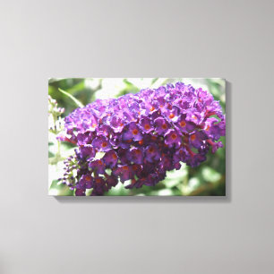 Impresión en lienzo de hermosas flores púrpuras de