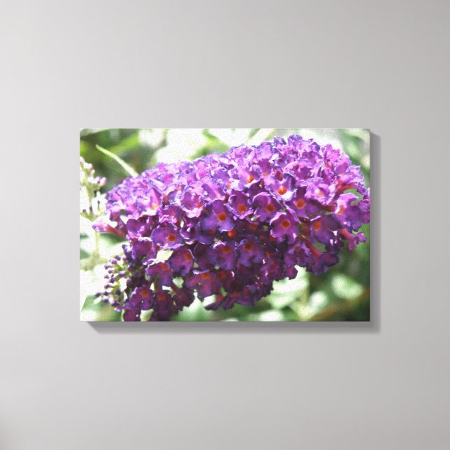 Impresión en lienzo de hermosas flores púrpuras de (Anverso)