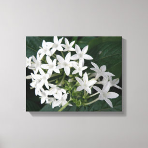 Impresión en lienzo de hermosas flores tropicales