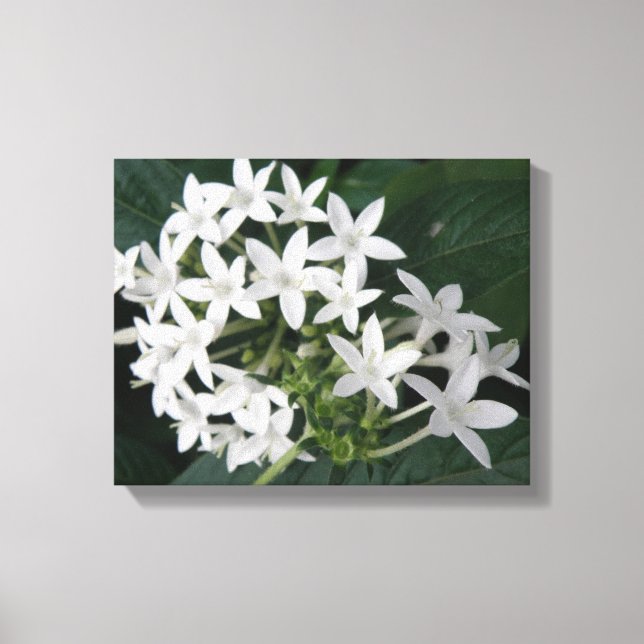 Impresión en lienzo de hermosas flores tropicales  (Anverso)