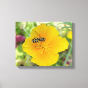 Impresión en lienzo de Hoverfly y Amapola de Calif