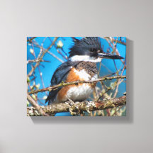 Impresión en lienzo de Kingfisher Wild Bird