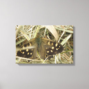 Impresión en lienzo de la mariposa de madera motea