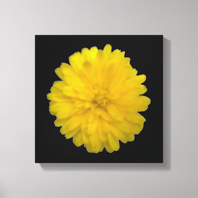 Impresión en lienzo de Marigold Amarillo (Anverso)