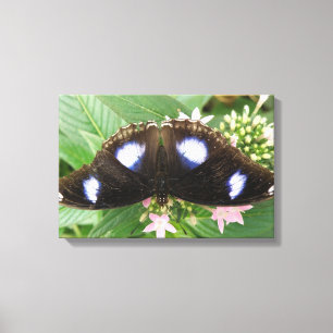 Impresión en lienzo de mariposa manchada de azul