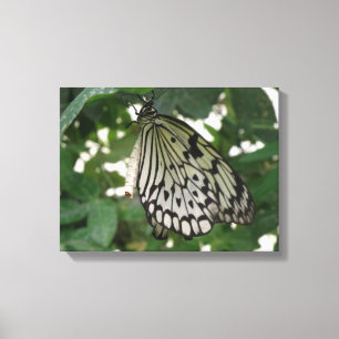 Impresión en lienzo de mariposa tropical Paper Kit