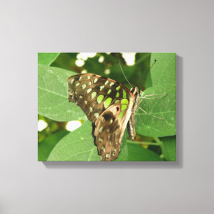Impresión en lienzo de mariposa verde iridiscente