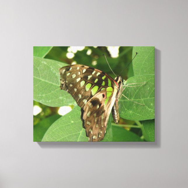 Impresión en lienzo de mariposa verde iridiscente  (Anverso)