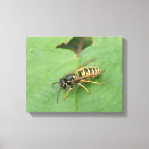 Impresión en lienzo de Mosca flotante en una hoja
