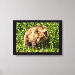 Impresión en lienzo de oso grizzly torpe