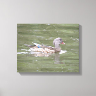 Impresión en lienzo de pato en el lago