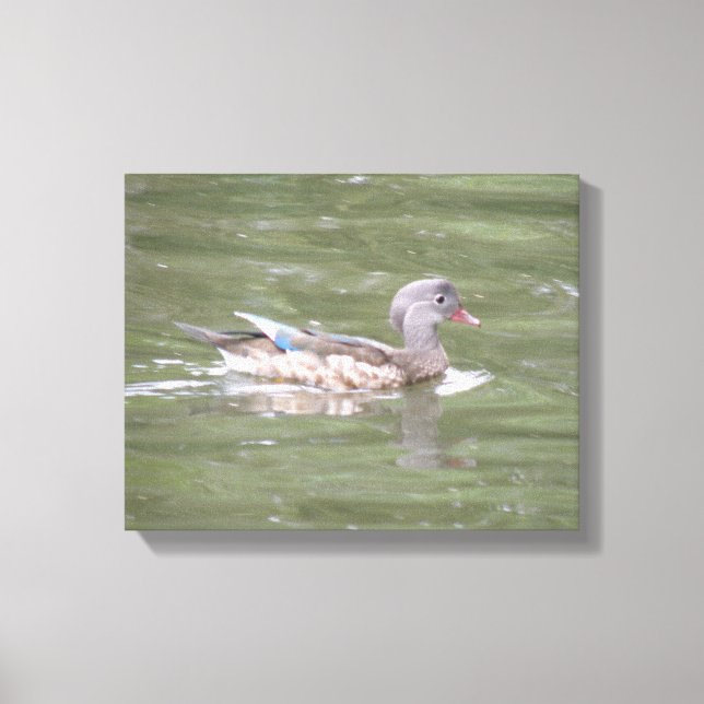 Impresión en lienzo de pato en el lago (Anverso)