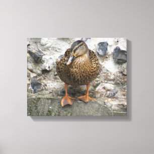 Impresión en lienzo de pato en la pared