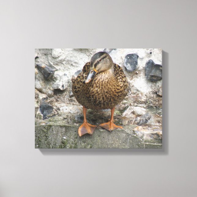 Impresión en lienzo de pato en la pared (Anverso)